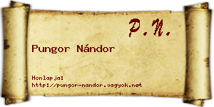 Pungor Nándor névjegykártya