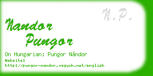 nandor pungor business card