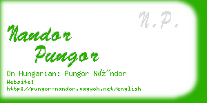 nandor pungor business card